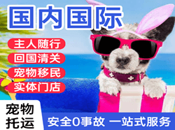 江北航空快递国际宠物托运 【国